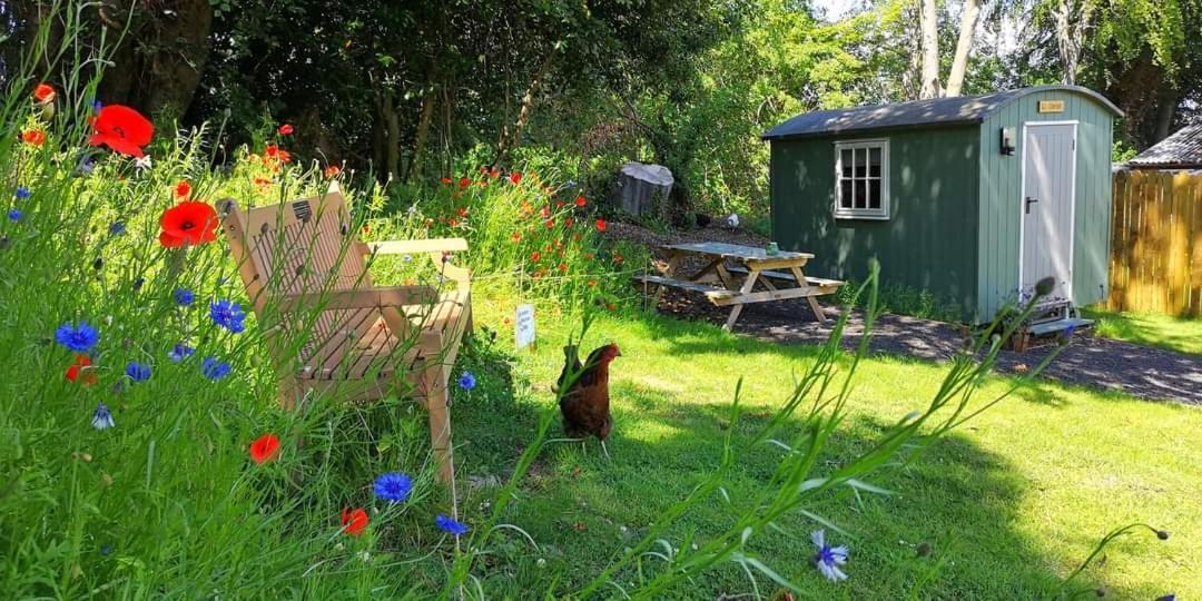 Wooler Hostel And Shepherds Huts Екстериор снимка