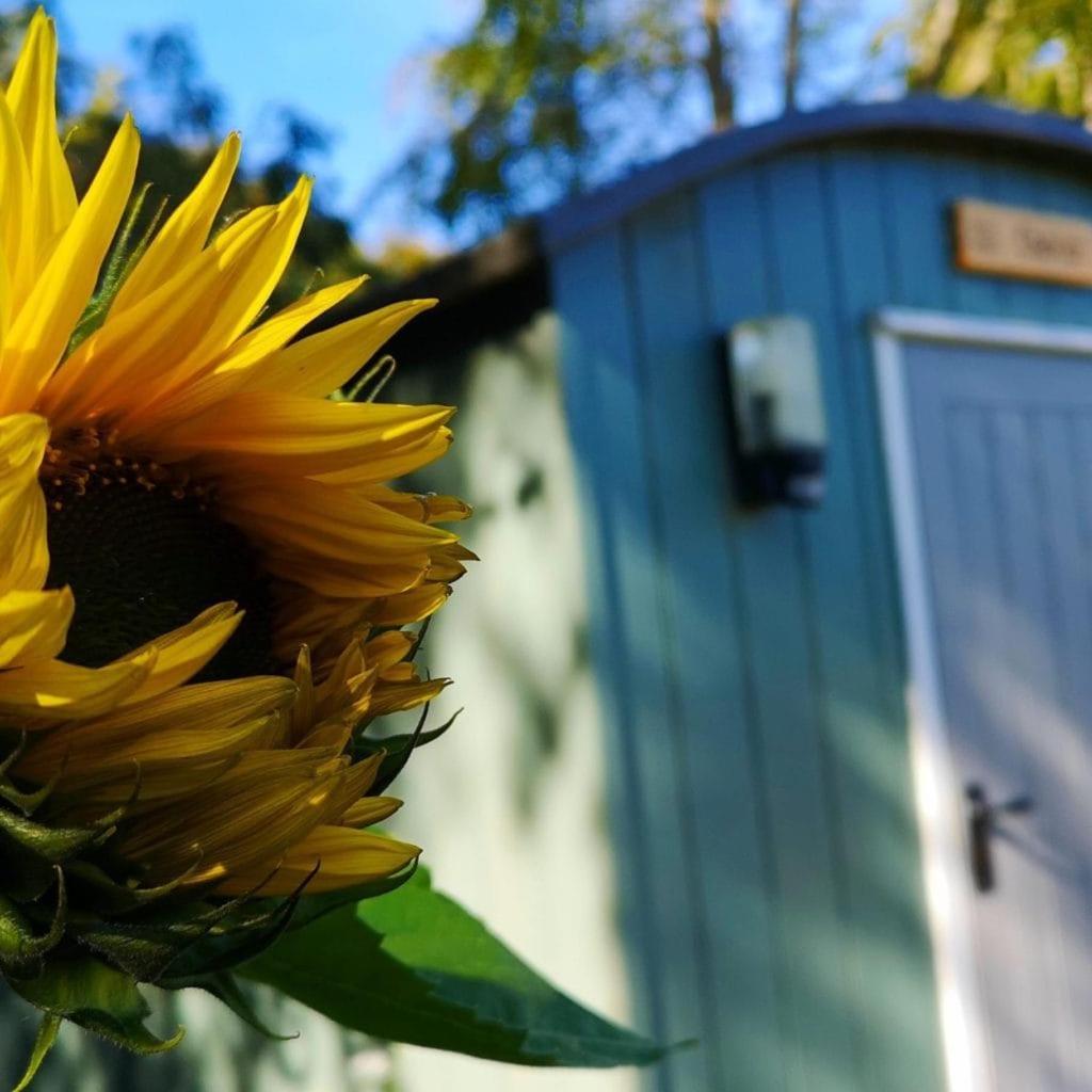 Wooler Hostel And Shepherds Huts Екстериор снимка